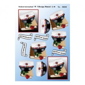 3D ark studenterhue international M23