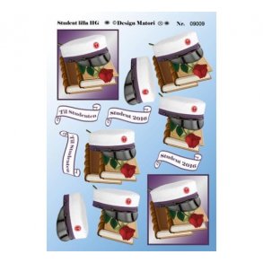 3D ark Student lilla HG M23