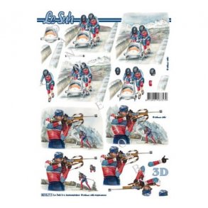 3D ark Vintersport M20