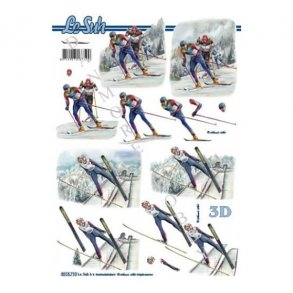 3D ark Vintersport p� ski M20