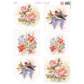 Klippeark Marianne 0201 M6