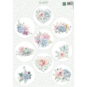Klippeark Succulents VK9636 Marianne Design M37
