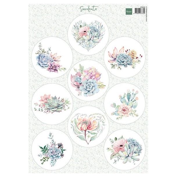 Klippeark Succulents VK9636 Marianne Design M37