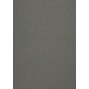 Metallic papir Lonise 120g A4 5ark Paper Favorites