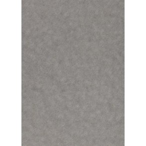 Metallic papir Alchemy Platinum 120g A4 5ark Paper Favorites