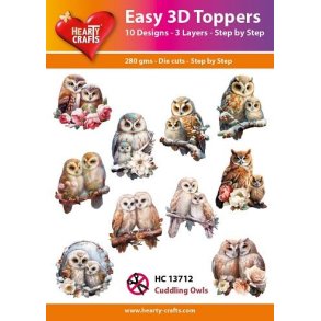 Easy 3D Toppers, HC13712 cuddling Owls 10 ASS.