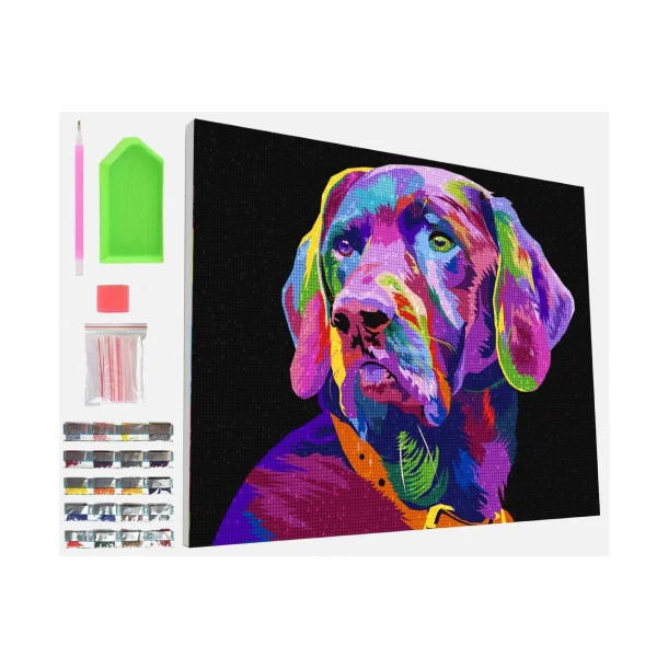 SPLAT PLANET Diamond art p lrred 30x40cm, hund