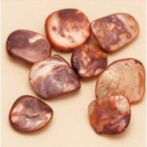 Muslingeperler ca. 13-17mm orange 8stk