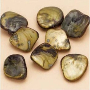 Muslingeperler ca. 13-17mm mrk grn 8stk