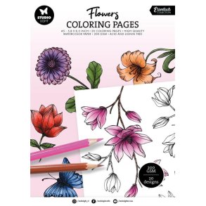 Studio Light Coloring Pages 