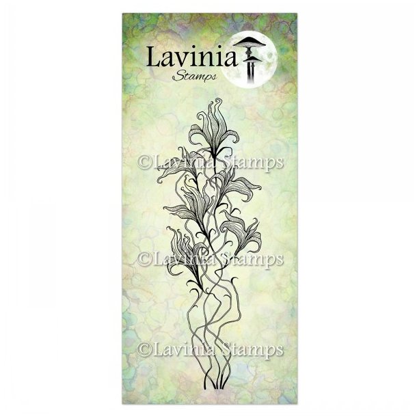 Twilight Lily Stamp Lavinia