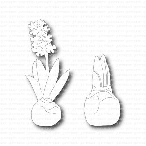 Die sm� hyancinter gummiapan D28