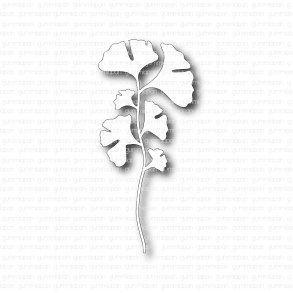 Die Ginkgo gummiapan D35