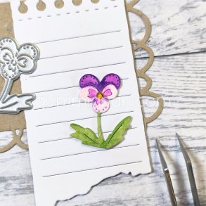 Die Pens� Gummiapan 