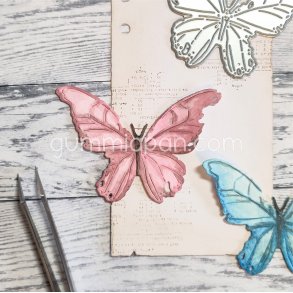 Die gummiapan Old Butterfly FORUDBESTILLING