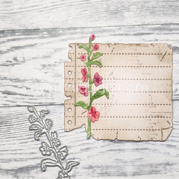 Die gummiapan Riddarsporre FORUDBESTILLING