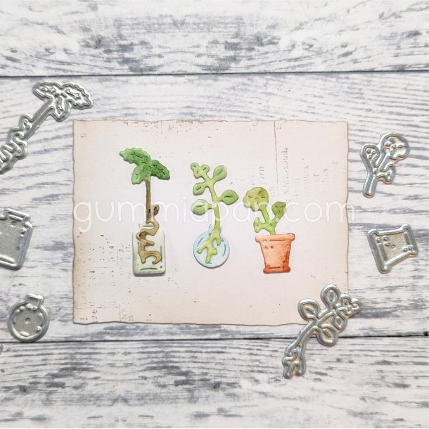 Die gummiapan Sticklingar FORUDBESTILLING 