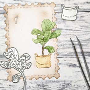 Die gummiapan Stor Fiolfikus i s�ck FORUDBESTILLING