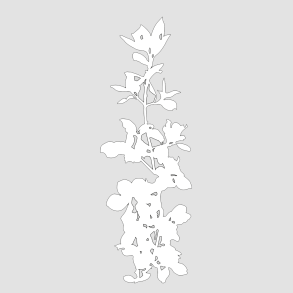 Design5 Die Hj bladgren D34