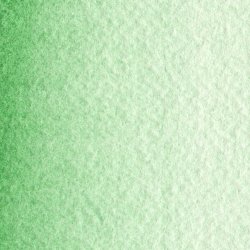 Cobalt Green Deep 317 Maimeri Blu Watercolour 1/2 Pans