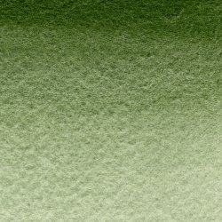 Hooker's Green 325 Maimeri Blu Watercolour 12 ml Tube