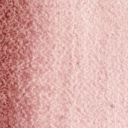 Rosa Potter 479 Maimeri Blu Watercolour 12 ml Tube