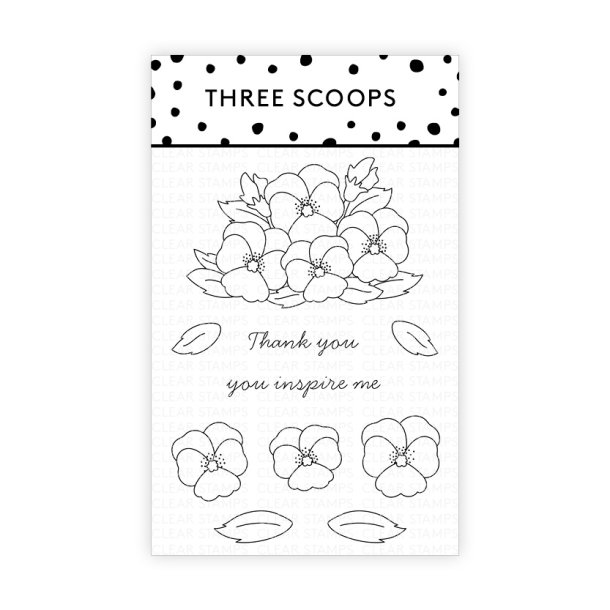 Three Scoops Stempel Stedmoderblomster til potte