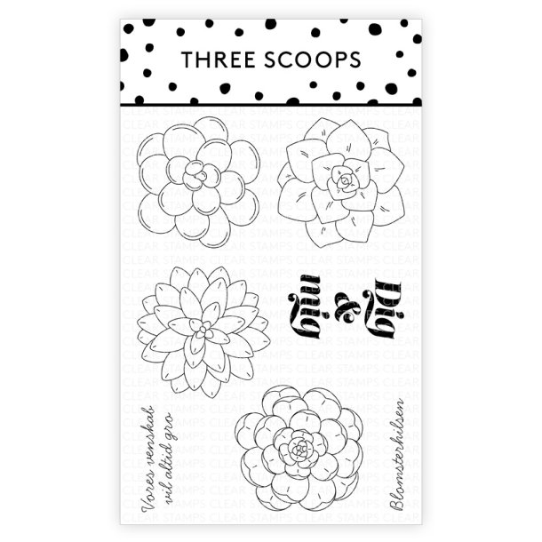 Three Scoops Akrylstempel Sukkulenter dig og mig ST15