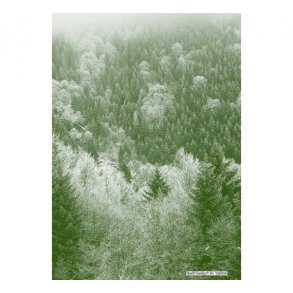 Baggrundspapir granskov M27