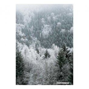 Baggrundspapir granskov sort/hvid M27