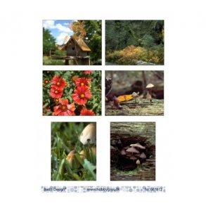 Barto klippeark natur M42