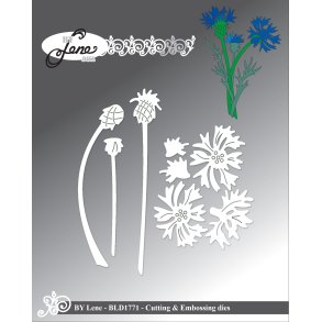 Die Cornflower BLD1771 BY LENE