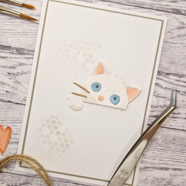 Die Peek-a-boo katt gummiapan FORUDBESTILLING