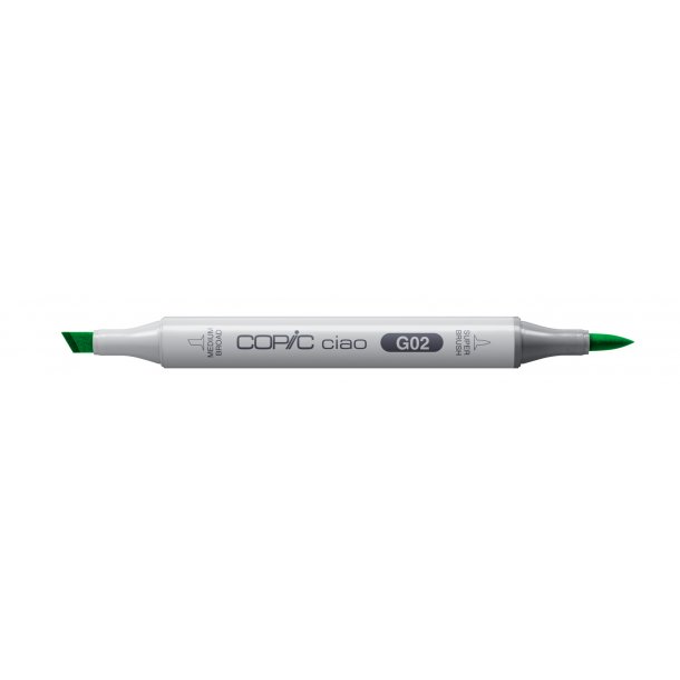 Copic Ciao G02 Spectrum Green