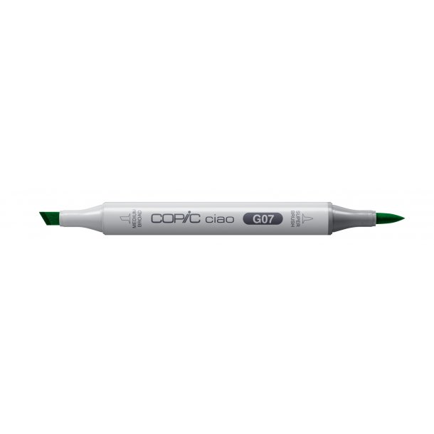 Copic Ciao G07 Nile Green