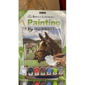 Painting by numbers hest motiv