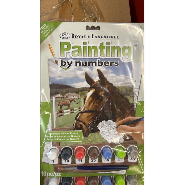 Painting by numbers hest motiv