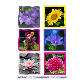 Klippeark Barto Blomster M14