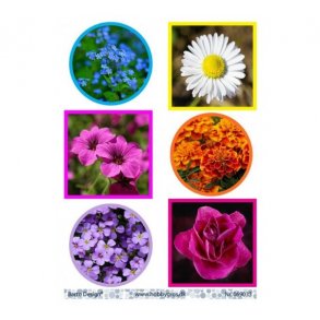 Klippeark Barto Blomster M14