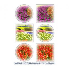 Klippeark Barto Blomster M24