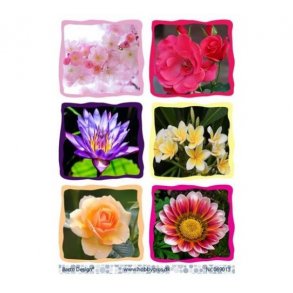 Klippeark Barto Blomster M8