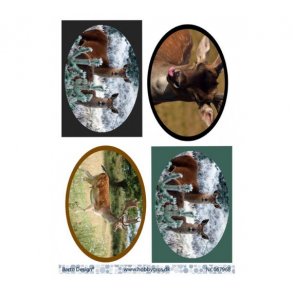 Klippeark Barto Ddyr M15