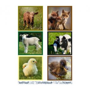 Klippeark Barto Dyr M14