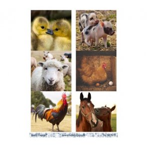 Klippeark Barto Dyr M15