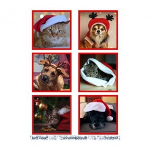 Klippeark Barto Dyr med nissehuer M43