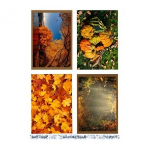 Klippeark Barto Efterr M34