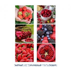 Klippeark Barto Frugter M8