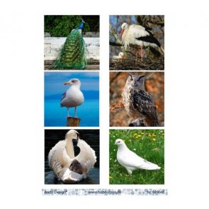 Klippeark Barto Fugle M14