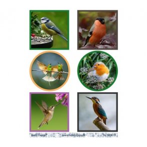 Klippeark Barto Fugle M8