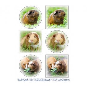 Klippeark Barto Hamster M24